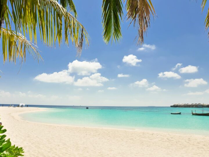 Kristall Palm Beach